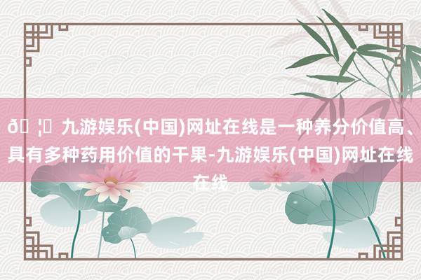 🦄九游娱乐(中国)网址在线是一种养分价值高、具有多种药用价值的干果-九游娱乐(中国)网址在线