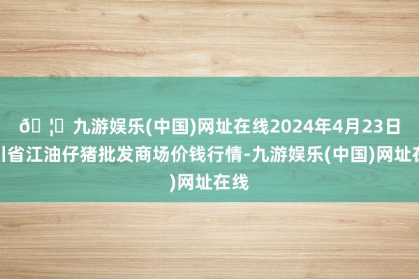 🦄九游娱乐(中国)网址在线2024年4月23日四川省江油仔猪批发商场价钱行情-九游娱乐(中国)网址在线