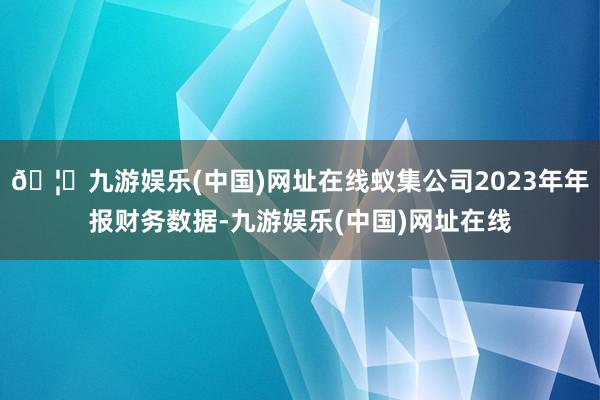 🦄九游娱乐(中国)网址在线蚁集公司2023年年报财务数据-九游娱乐(中国)网址在线