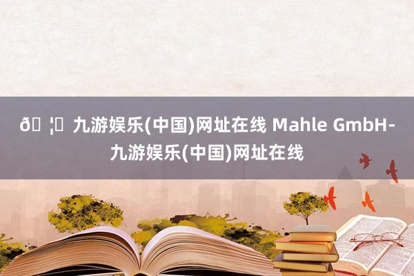 🦄九游娱乐(中国)网址在线 Mahle GmbH-九游娱乐(中国)网址在线