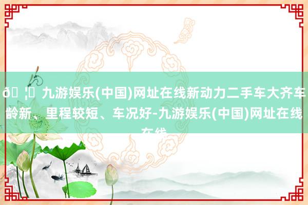 🦄九游娱乐(中国)网址在线新动力二手车大齐车龄新、里程较短、车况好-九游娱乐(中国)网址在线