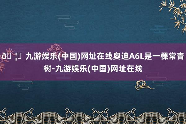 🦄九游娱乐(中国)网址在线奥迪A6L是一棵常青树-九游娱乐(中国)网址在线