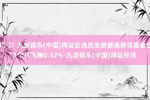 🦄九游娱乐(中国)网址在线历史数据通晓该基金近1个月飞腾0.32%-九游娱乐(中国)网址在线