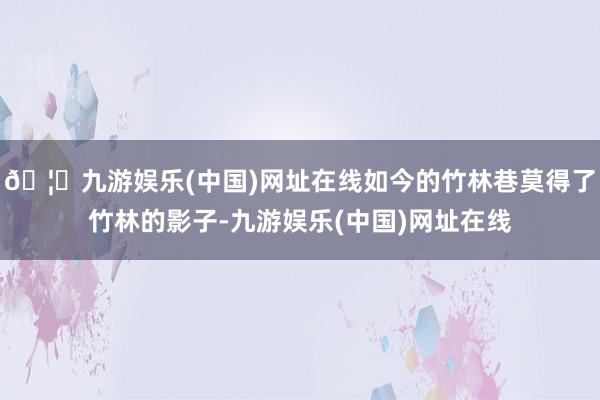 🦄九游娱乐(中国)网址在线如今的竹林巷莫得了竹林的影子-九游娱乐(中国)网址在线