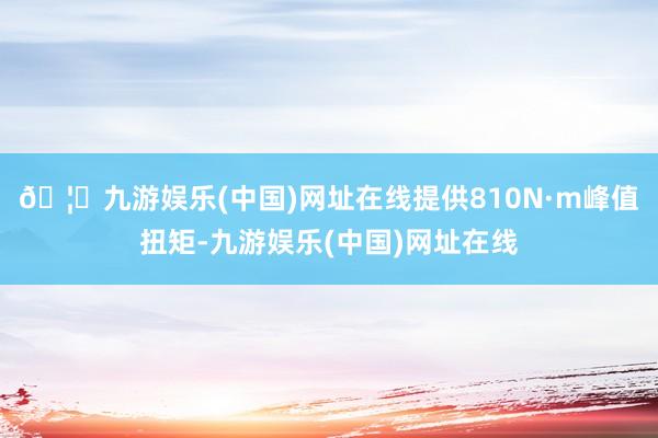 🦄九游娱乐(中国)网址在线提供810N·m峰值扭矩-九游娱乐(中国)网址在线