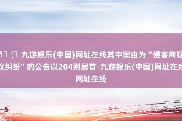 🦄九游娱乐(中国)网址在线其中案由为“侵害商标权纠纷”的公告以204则居首-九游娱乐(中国)网址在线