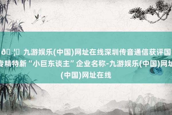 🦄九游娱乐(中国)网址在线深圳传音通信获评国度级专精特新“小巨东谈主”企业名称-九游娱乐(中国)网址在线