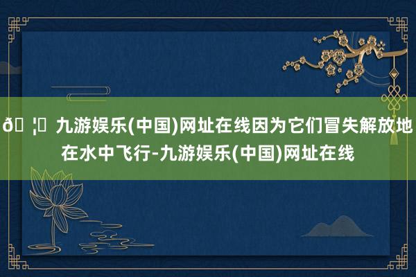 🦄九游娱乐(中国)网址在线因为它们冒失解放地在水中飞行-九游娱乐(中国)网址在线