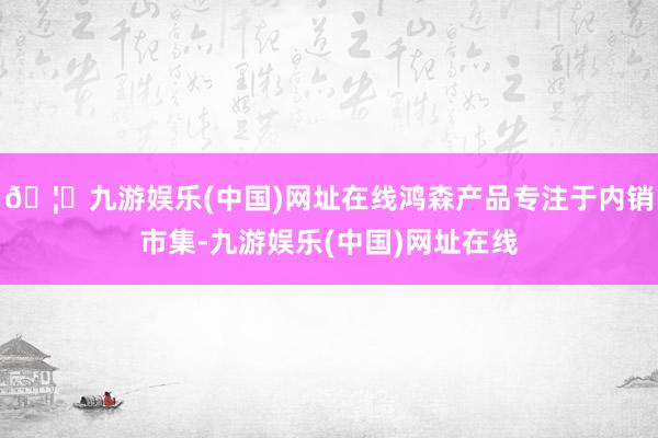 🦄九游娱乐(中国)网址在线鸿森产品专注于内销市集-九游娱乐(中国)网址在线