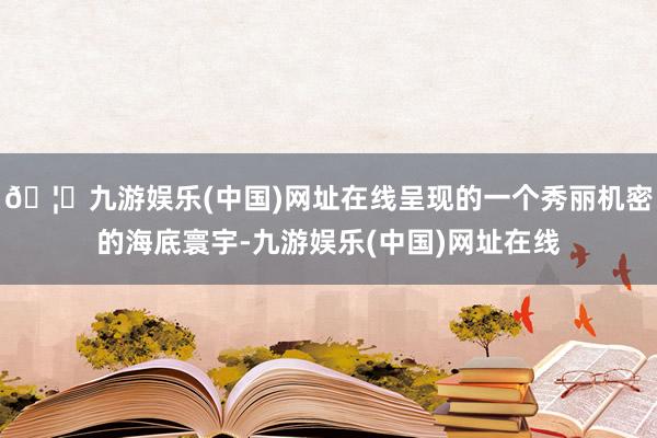 🦄九游娱乐(中国)网址在线呈现的一个秀丽机密的海底寰宇-九游娱乐(中国)网址在线