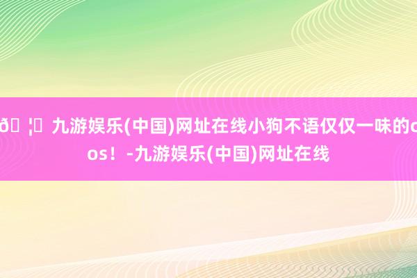 🦄九游娱乐(中国)网址在线小狗不语仅仅一味的cos！-九游娱乐(中国)网址在线