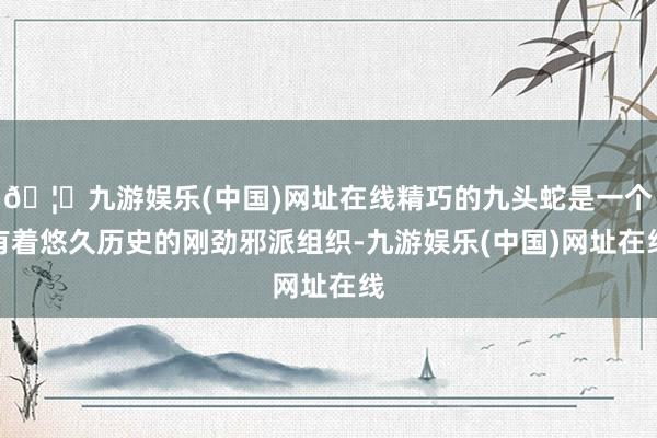 🦄九游娱乐(中国)网址在线精巧的九头蛇是一个有着悠久历史的刚劲邪派组织-九游娱乐(中国)网址在线