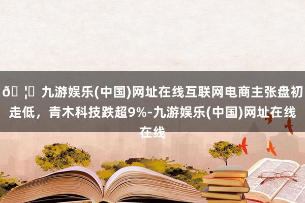 🦄九游娱乐(中国)网址在线互联网电商主张盘初走低，青木科技跌超9%-九游娱乐(中国)网址在线