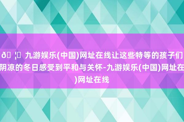 🦄九游娱乐(中国)网址在线让这些特等的孩子们在阴凉的冬日感受到平和与关怀-九游娱乐(中国)网址在线