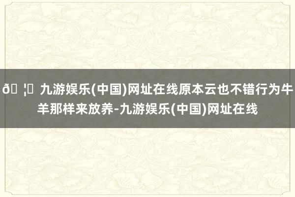 🦄九游娱乐(中国)网址在线原本云也不错行为牛羊那样来放养-九游娱乐(中国)网址在线