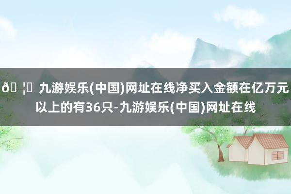 🦄九游娱乐(中国)网址在线净买入金额在亿万元以上的有36只-九游娱乐(中国)网址在线