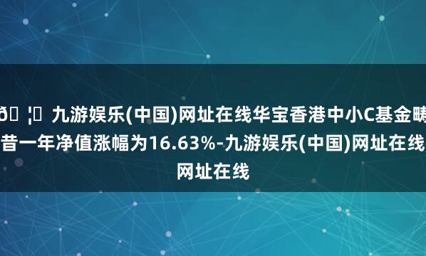 🦄九游娱乐(中国)网址在线华宝香港中小C基金畴昔一年净值涨幅为16.63%-九游娱乐(中国)网址在线