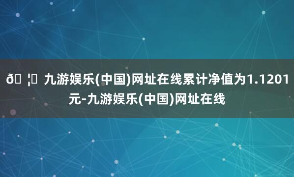 🦄九游娱乐(中国)网址在线累计净值为1.1201元-九游娱乐(中国)网址在线