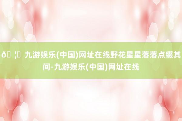 🦄九游娱乐(中国)网址在线野花星星落落点缀其间-九游娱乐(中国)网址在线