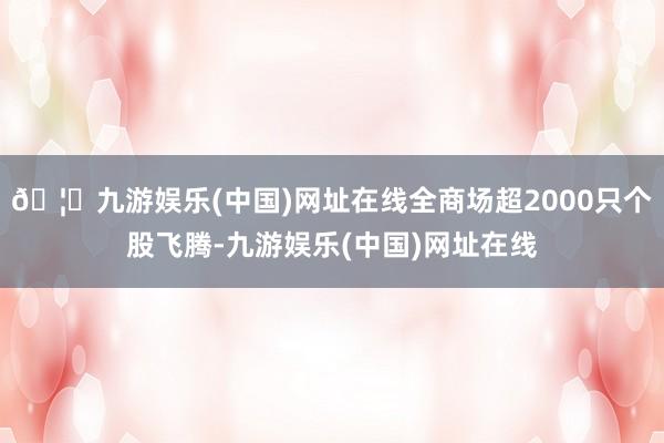 🦄九游娱乐(中国)网址在线全商场超2000只个股飞腾-九游娱乐(中国)网址在线